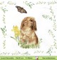 Preview: Hasen in der Wiese - 1 Paket mit 20 Servietten